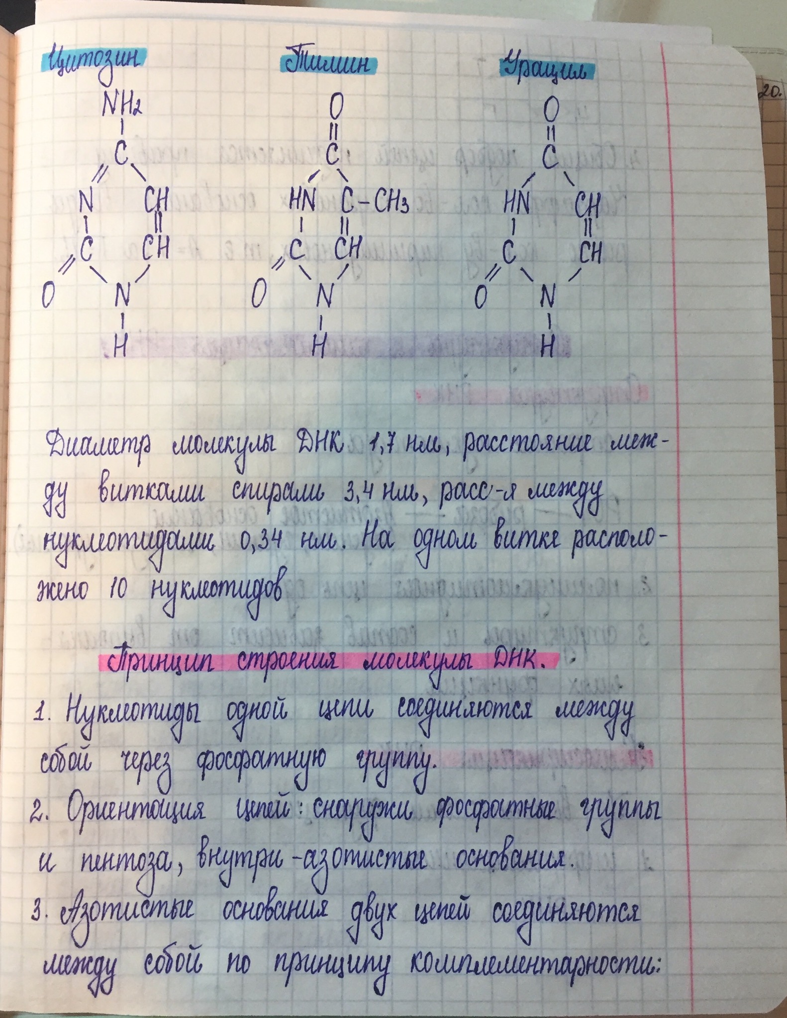 Фото Переписывание готового конспекта 